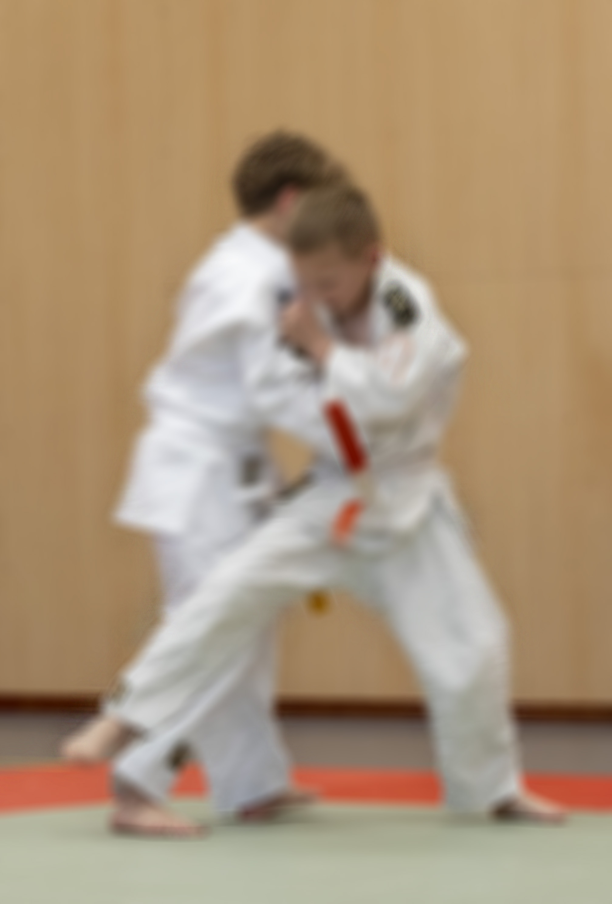 Karate-Jitsu