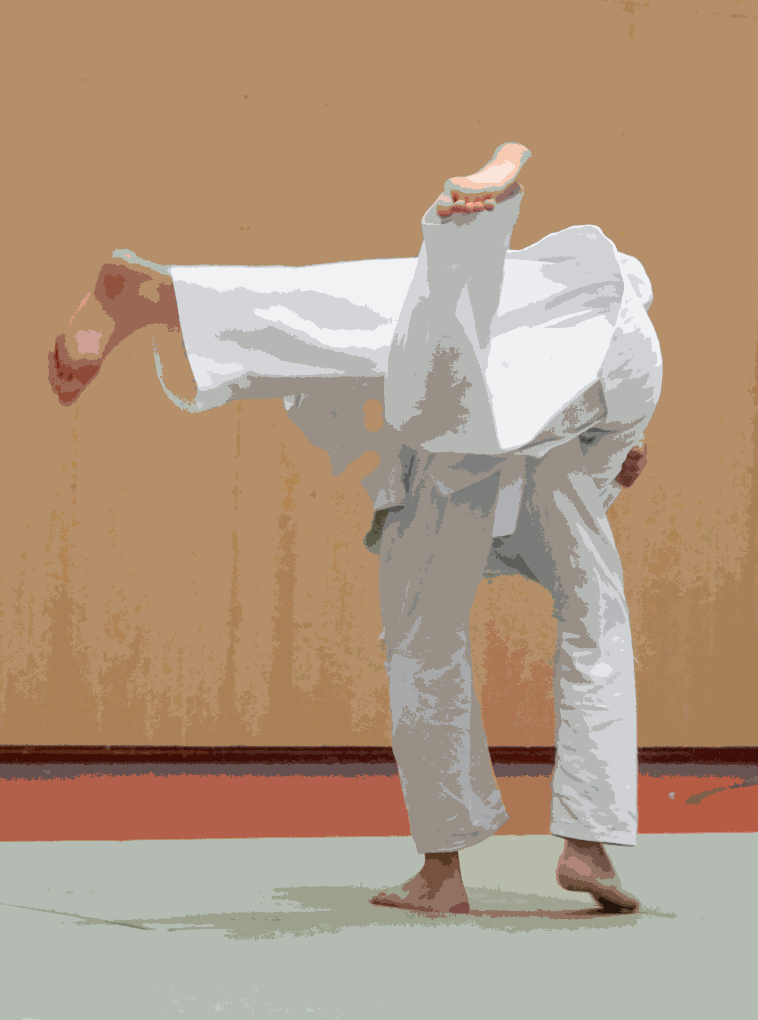 Jiu-Jitsu