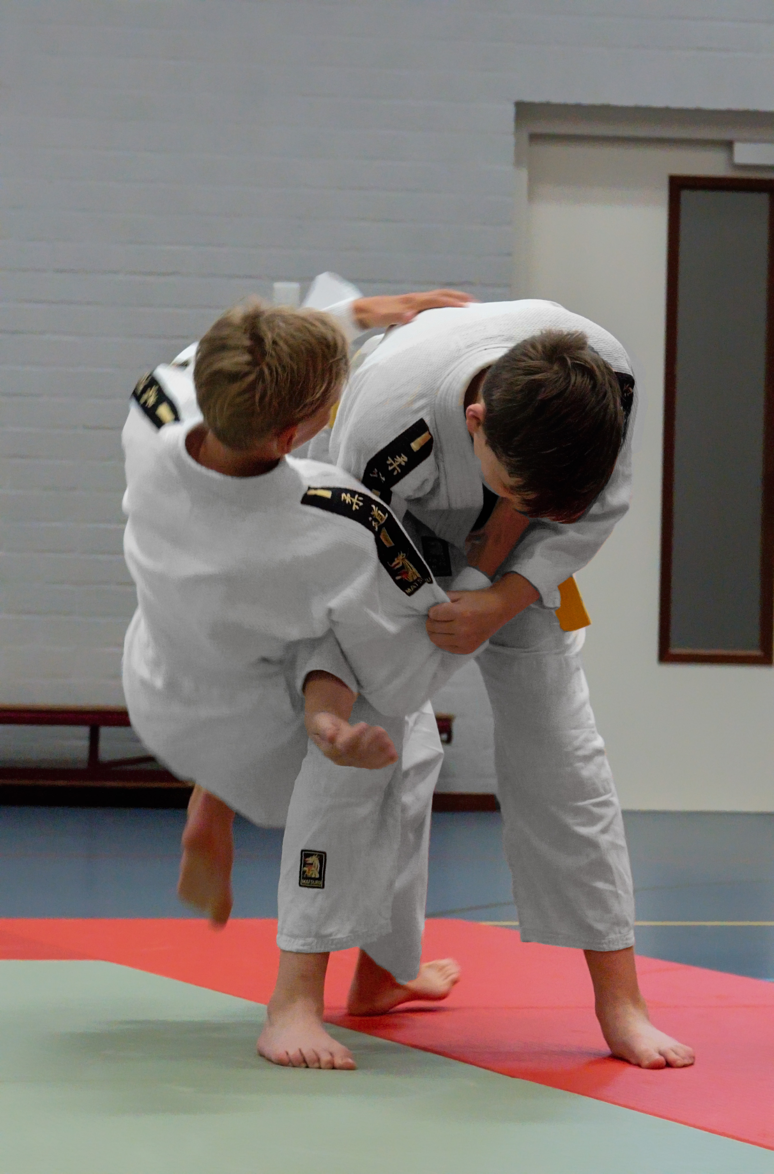 Budo-fit